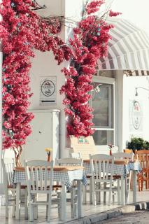 Arco Naxos Luxury Apartments - 6