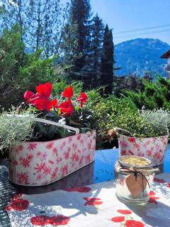 Ferienwohnung Alpenherz - 1