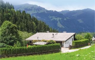 Luxus- Chalet Kitzbuehel - 2