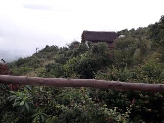 Akagera Rhino Lodge - Rwinkwavu - 8