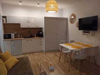Słoneczny apartament z prywatną sauną w Stroniu Śląskim - Stronie Śląskie - 9