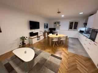 Deluxe Apartments mit Arbeitsplatz im Denkmalhaus, beste und ruhige zentrale Lage von Halle Saale WE1 - Halle an der Saale - 8