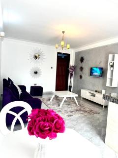 Kantu furnished homes two bedrooms - Kampala - 9