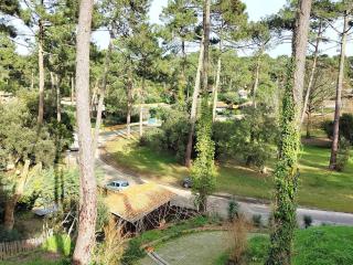 Spacieuse villa familiale avec terrasses à 500m du Bassin - FR-1-736-21 - Lège-Cap-Ferret - 9