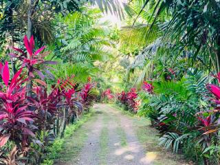 New Holiday Reach - Unawatuna - 9