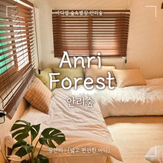 Anri forest #long stay #5people#rooftop#laundry - Busan - 0