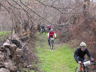 Casa da Fonte de Travanca - 5