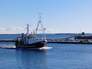 Stenrös Smögen Centralt, stora rum - Smögen - 2