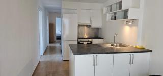 Central 4 bedrooom apartment - Oslo - 8