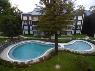 Departamento en Parque Payllahue - Pucón - 7