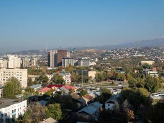 Comfort City Apartment - Almaty - 4