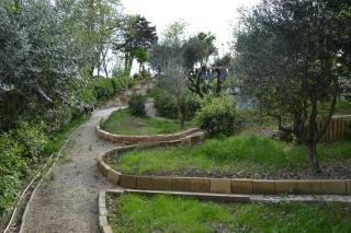 Civettina - Senigallia - 6