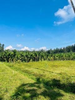 Preetham Homestay - Kushālnagar - 3