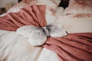 Ferienwohnungen Kornkammer und Kirschstübchen - Kettig - 1