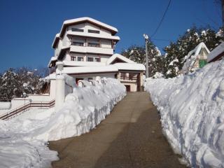 Family Hotel Diana - Lyaskovo - 2