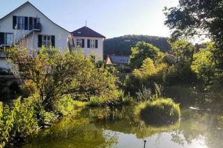 In DE preiswert wohnen und in der CH gut verdienen - Klettgau - 3
