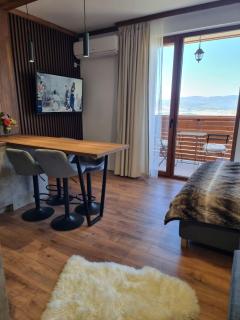 Studio Todorka - Bansko - 0