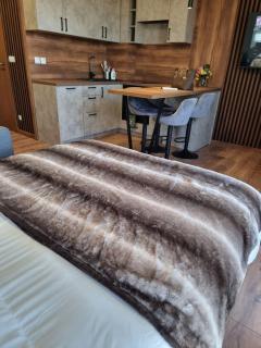 Studio Todorka - Bansko - 9