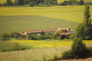 Logis Gascons - Saint-Justin - 1