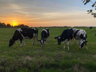 Loft en Mar - appartement - 6