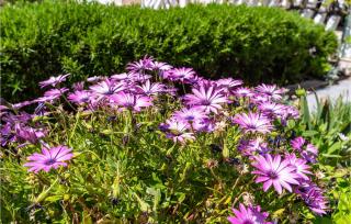 Beautiful Apartment In Vir With Kitchen - 1