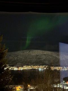 Aurora - 1