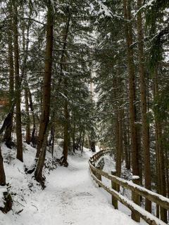 My Peaceful Retreat - 1