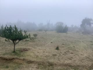 Hotel las carretas , spa y temazcal - 1