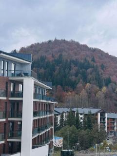 Orbi Palace Bakuriani 458 - Bakuriani - 4