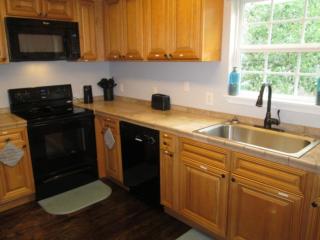 1241 Ocean Lakes Pet Friendly Golf Cart Included-Beach Bum - 8