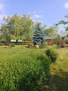 Casa de vacanta ROUA DIMINETII - 3