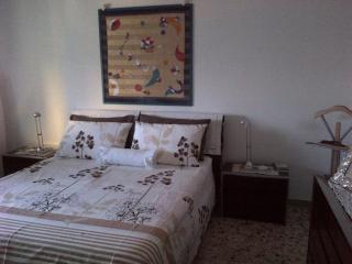 Riccio di Mare - Large and bright flat on the sea - 5