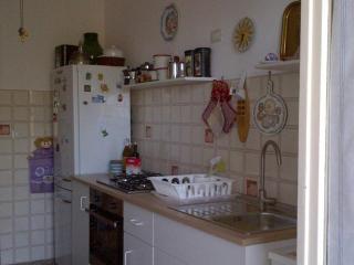 Riccio di Mare - Large and bright flat on the sea - 3