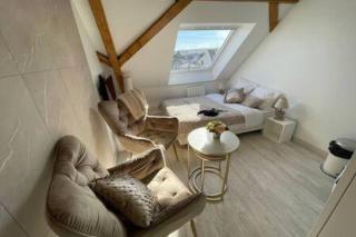Esprit Palace, coeur de Mulhouse - Mulhouse - 2
