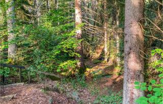 Stuga 1 - Nybro - 5