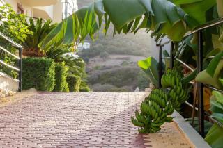 Elpis Studio Apartments - Balíon - 8