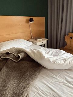 Grüezi Laax Apartments - 4