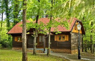 Amazing Home In Gustelnica With Sauna - 1