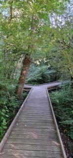 Magnifique appartement - 5