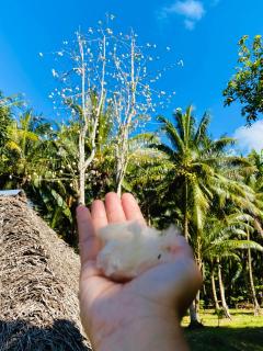 Huahine Serenity Cottage - Maroe - 1