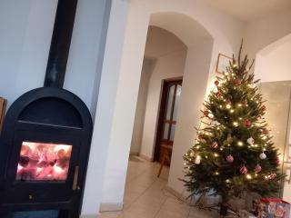 Fűrészmalom vendégház - 3