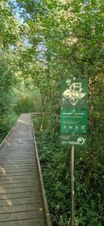 Agréable chambre - 1