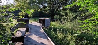 Agréable chambre - Prévessin-Moëns - 2