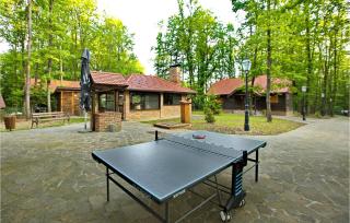 Amazing Home In Gustelnica With Sauna - Gustelnica - 0
