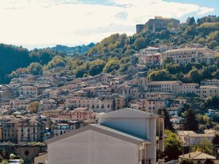Calatrava Bridge - Cosenza - 2