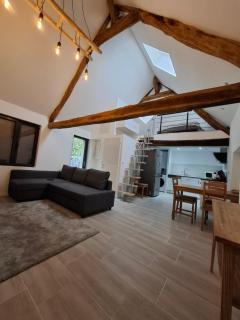 - La Maison Authentique - 200 m du centre ville et proche d'Orléans - Jargeau - 2