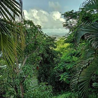 Private Room with Twin Beds AC nr Intl Airpt and Beach - Vieux Fort - 2