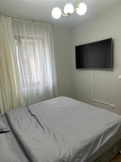 AlexHome lux apartment 27 free parking - Bucarest - 1