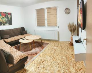 Apartman Duric - Tuzla - 9