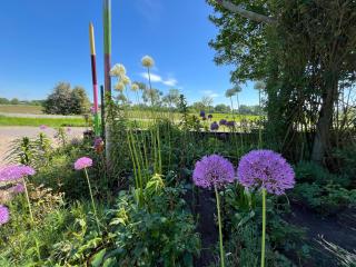 Rosenkate - Komfort für Profis - 3